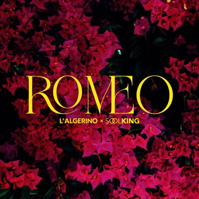 Roméo (feat. Soolking) - Single