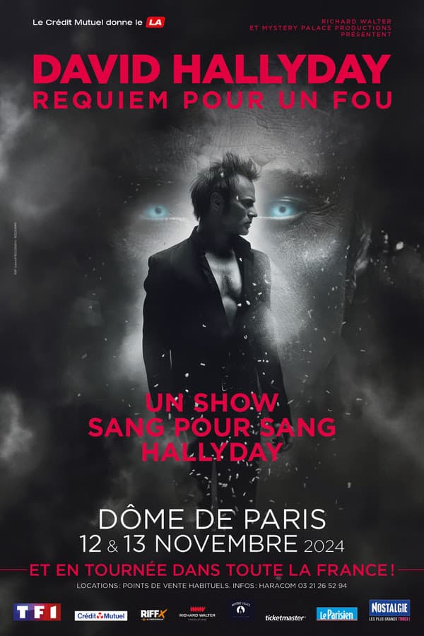 david hallyday tournee