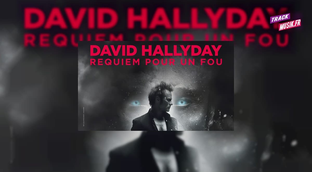 image David Hallyday  Requiem Pour Un Fou